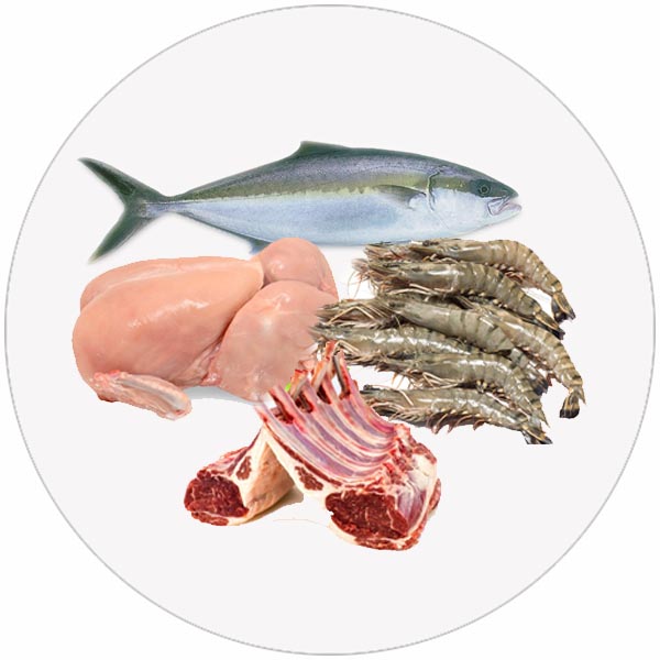 FISH AND MEAT