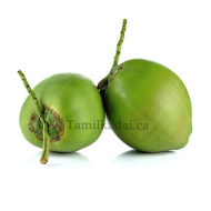 Coconut water Fresh (Each) - இளநீர்