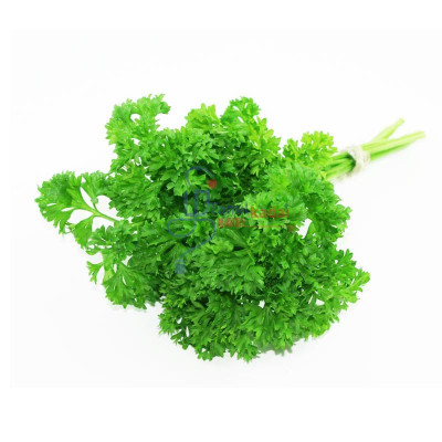 Curly Parsley (Bunch)