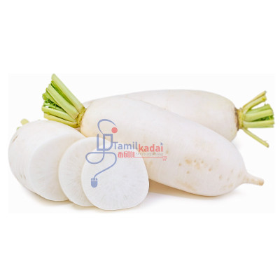 White Radish - Daikon (1 lb) - வெள்ளை முள்ளங்கி