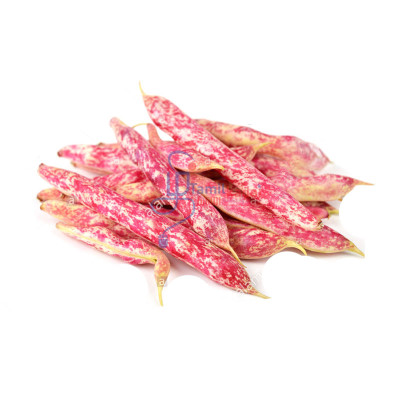 Roman Beans (0.85 lb  to 1 lb)