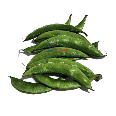 Indian Flate Beans - Indian - இந்தியன் அவரைக்காய்