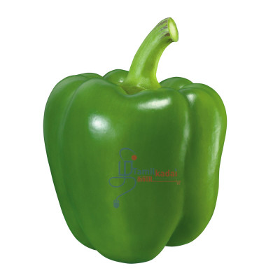 Green Pepper (1 LB) - குடை மிளகாய் 