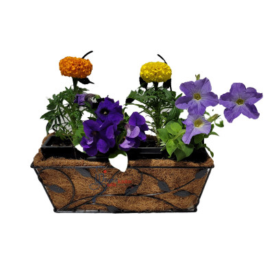 Flower Hanging Baskets-Garden