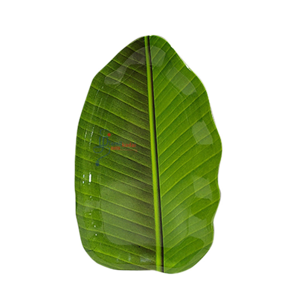 Banana Leaf Plate - 29cm - வாழை இலை தட்டு