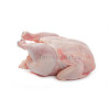 Chicken Whole With  Skin- முழு கோழி 