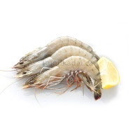 Shrimp White (1 Lb) - றால்