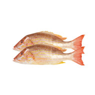 Red Snapper-Clean and Cut slice Ready to Cook (1 Lb) - சிவப்பு விளை மீன்