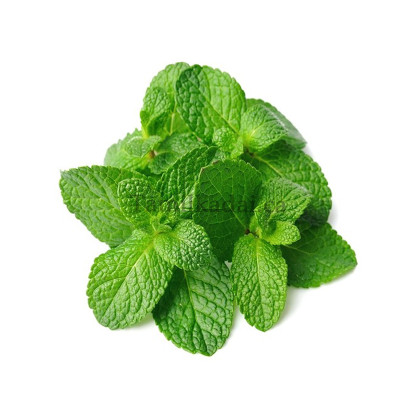Mint Leaves ( Bunch) - புதினா