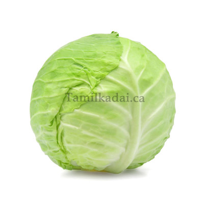 Cabbage - கோவா (Each)