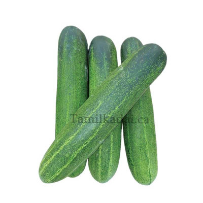Cucumber  (Each) - வெள்ளரி காய்