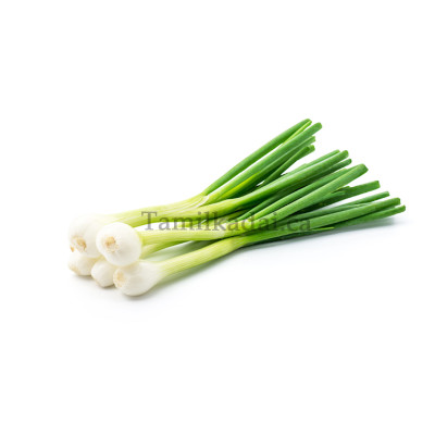 Green Onion Leaves (6 bunch) - வெங்காய தாள்