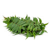 Neem leaves (BAG) - வேப்பம் இலை 