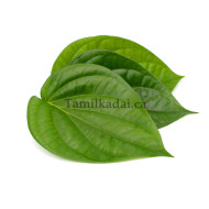 Paan Leaf (10 Leafs for $1.99) - வெற்றிலை 